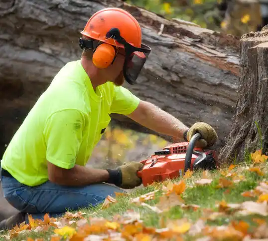 tree services Hubbard